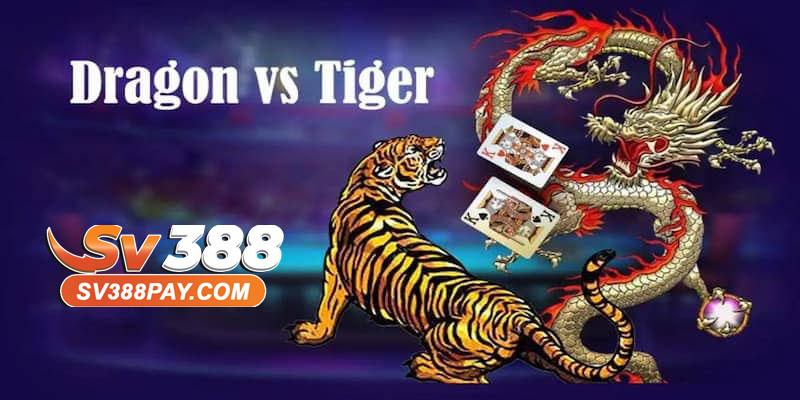 Chiến thuật chơi Rồng Hổ để tăng tỷ lệ thắng