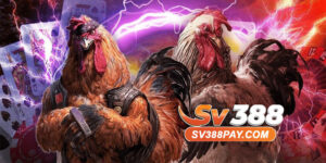 Đá Gà SV388 – Bí Quyết Đá Gà Trực Tuyến Hiệu Quả Cao Nhất