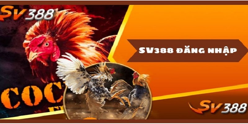 Điểm Nổi Bật Của SV388 So Với Nền Tảng Khác