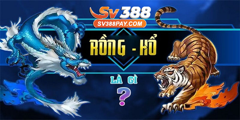 Rồng Hổ là gì?
