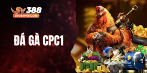 đá gà cpc1 là gì ?