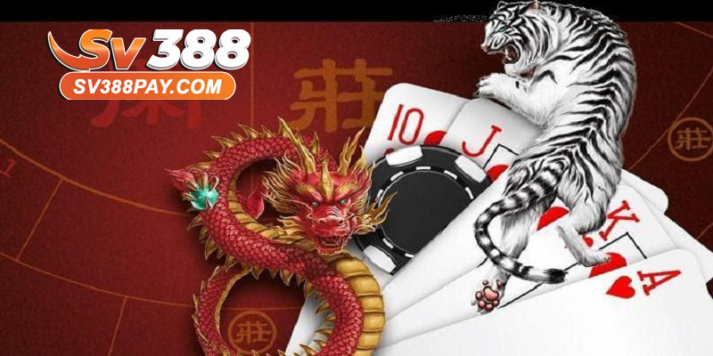Mẹo nhỏ giúp chơi Rồng Hổ hiệu quả hơn